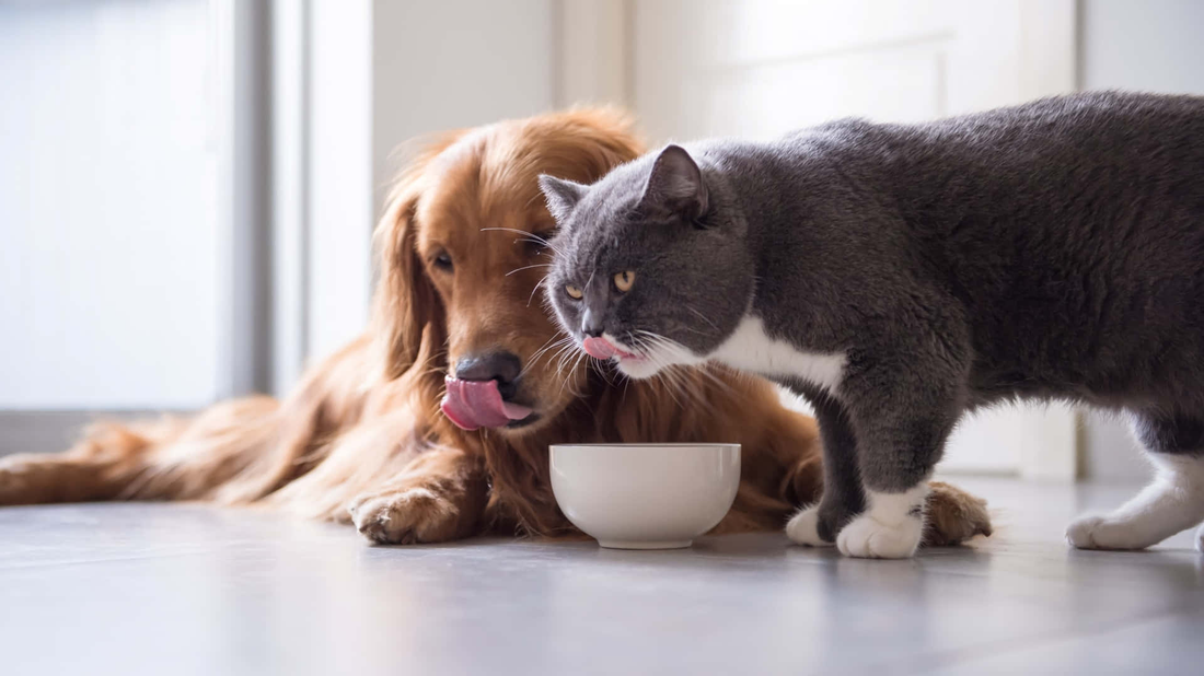 Pets Supplies