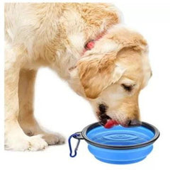 Foldable Silicone Bowl for Pets,Feeding and Watering for Cats and Dogs